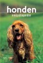 Honden - onze beste vriend