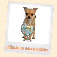 chihuahua geschiedenis