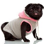 honden kleding